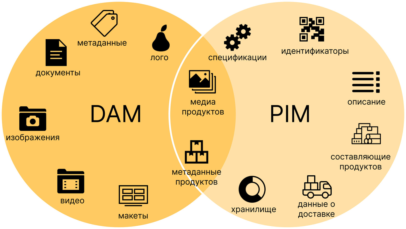 Цифровые активы под контролем: как DAM-система меняет подход к управлению  контентом