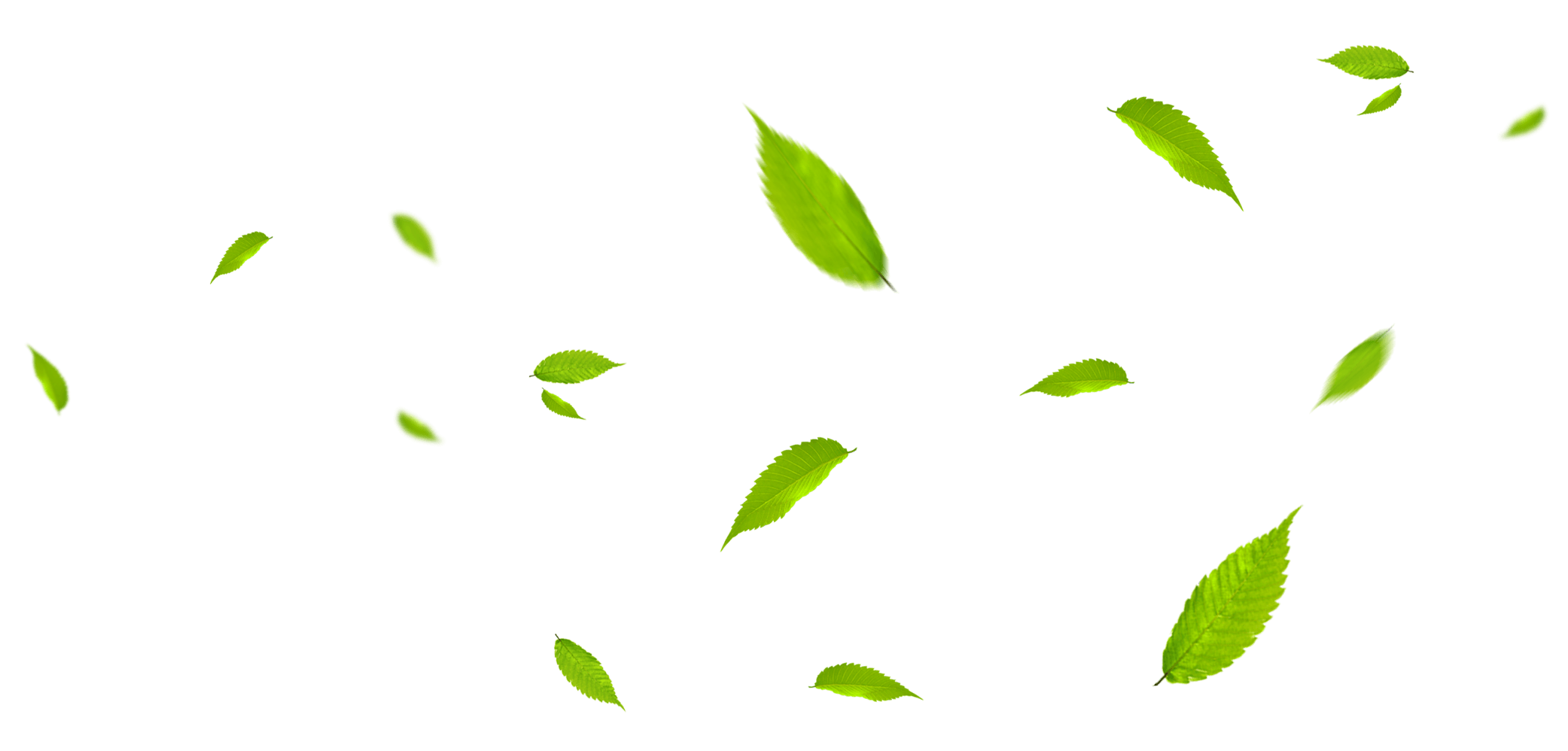 грядки из дпк с доставкой спб