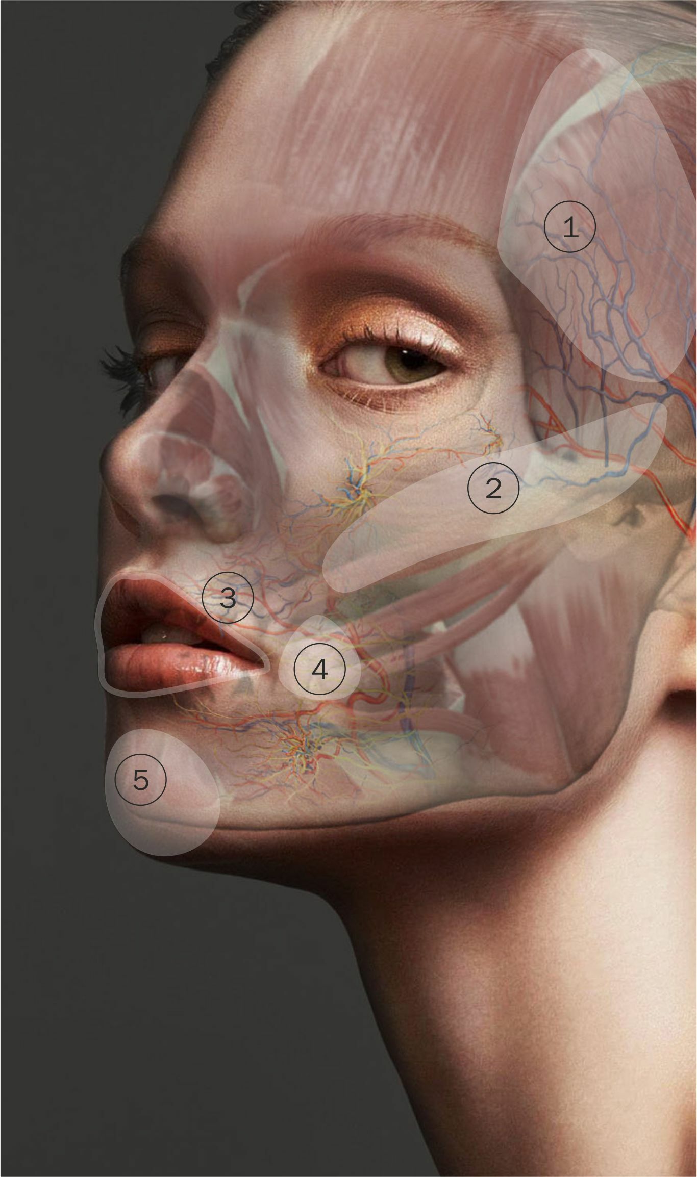 Face Art опасные зоны