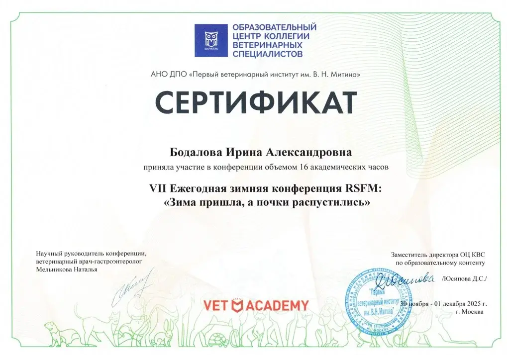 Сертификат 4 Бодалова И.А.