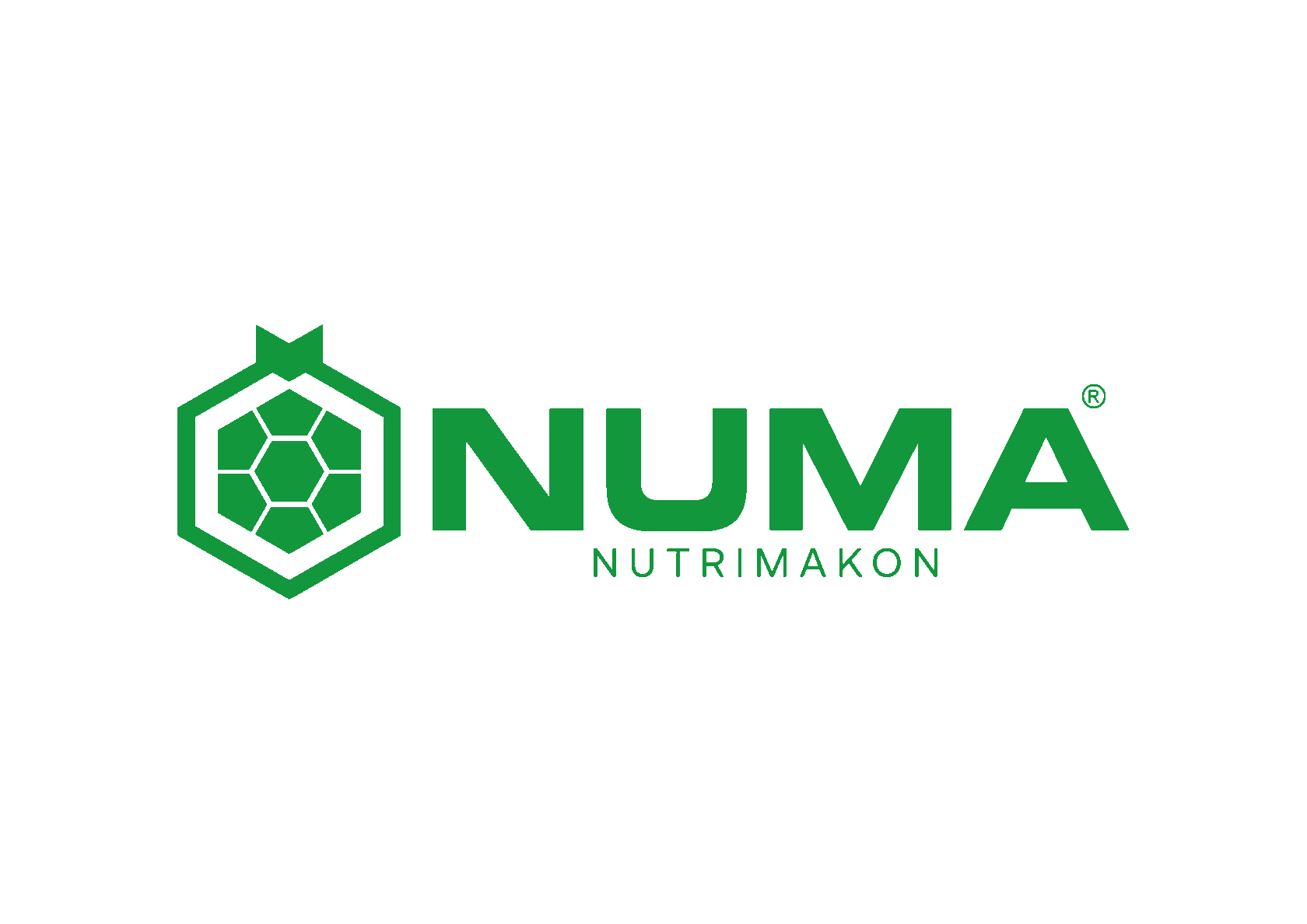  Numa Nutrition 