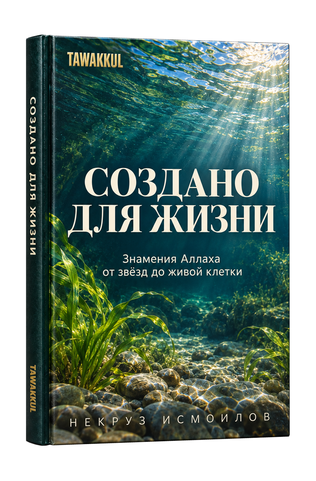 Создано для жизни