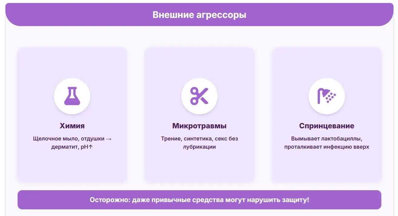 внешние агрессоры