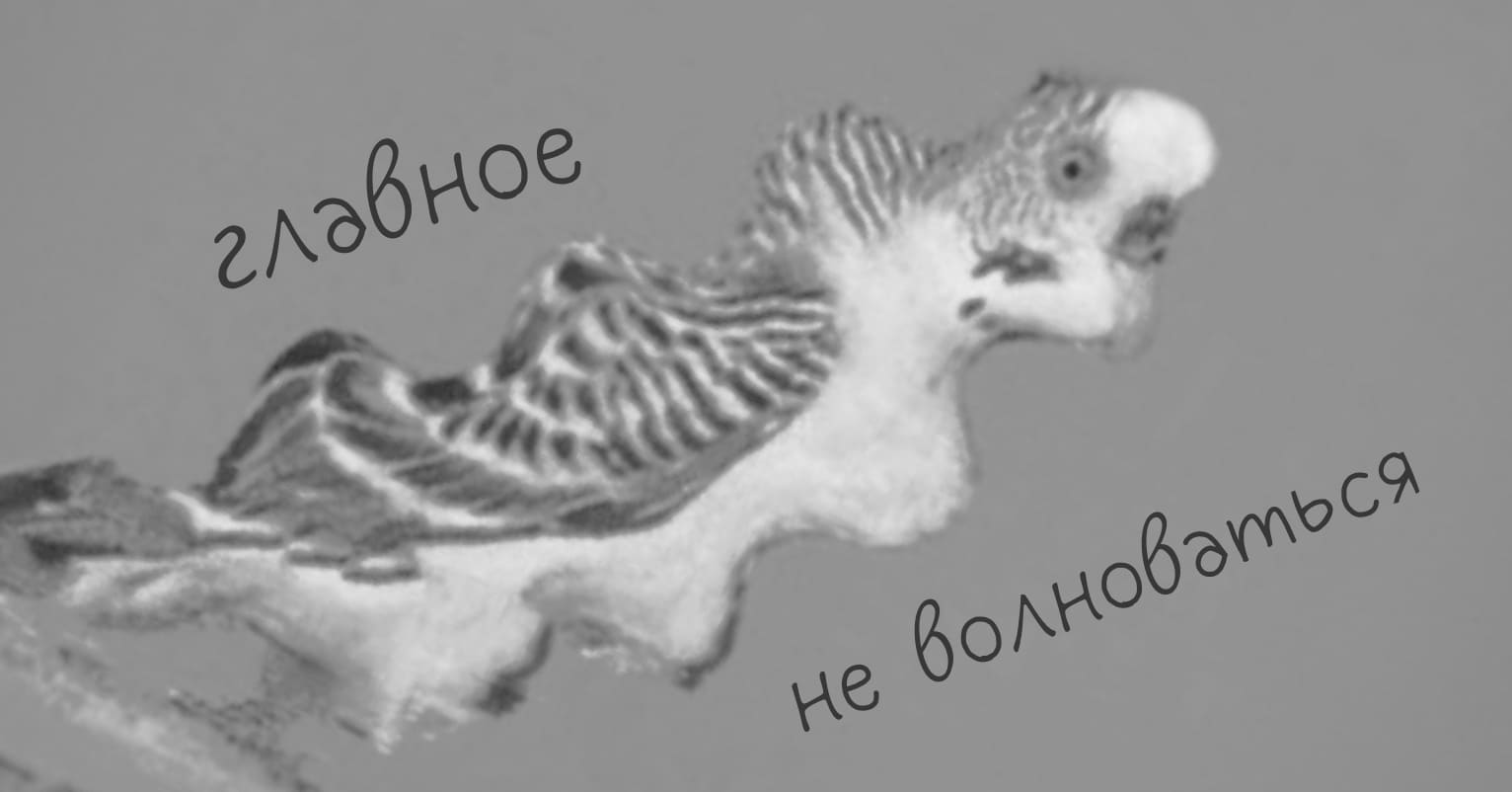 Что делать начинающему бизнесу в кризис - Достависта Блог