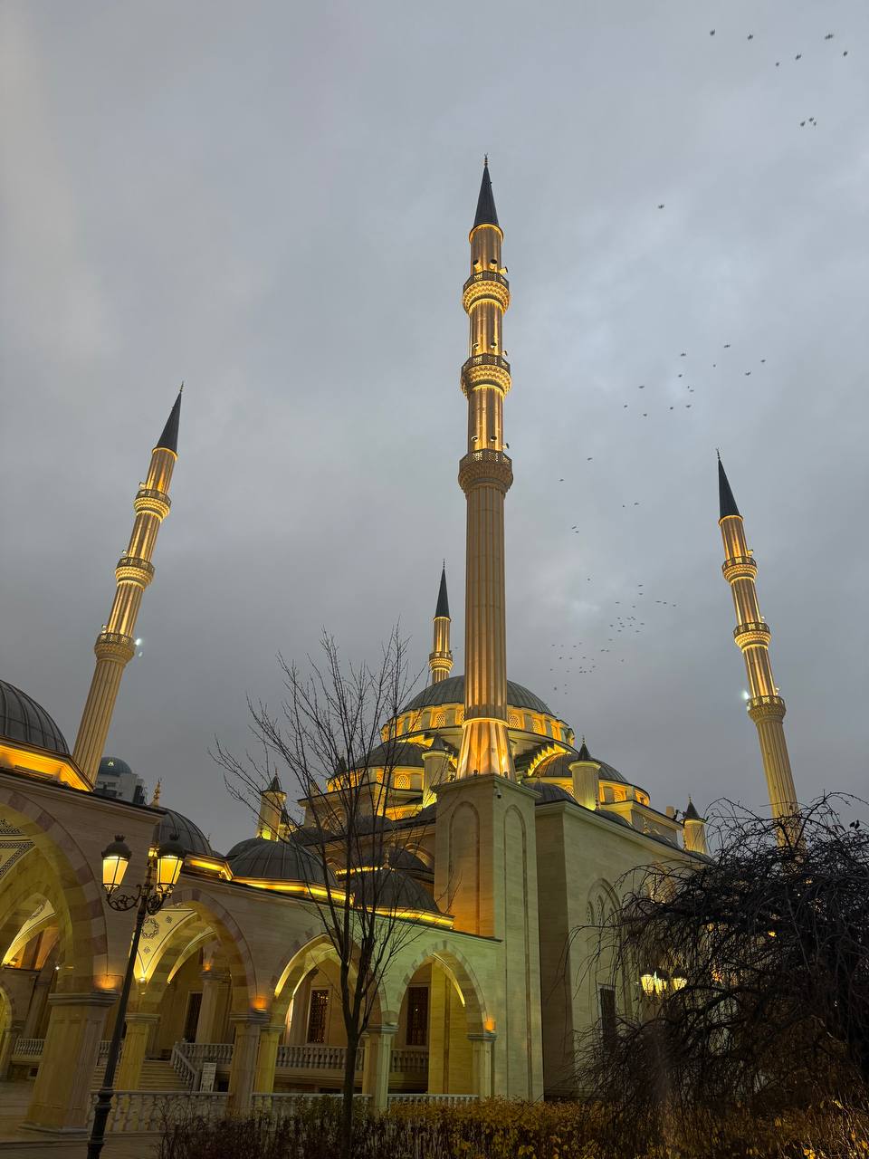 Мечеть Сердце Чечни