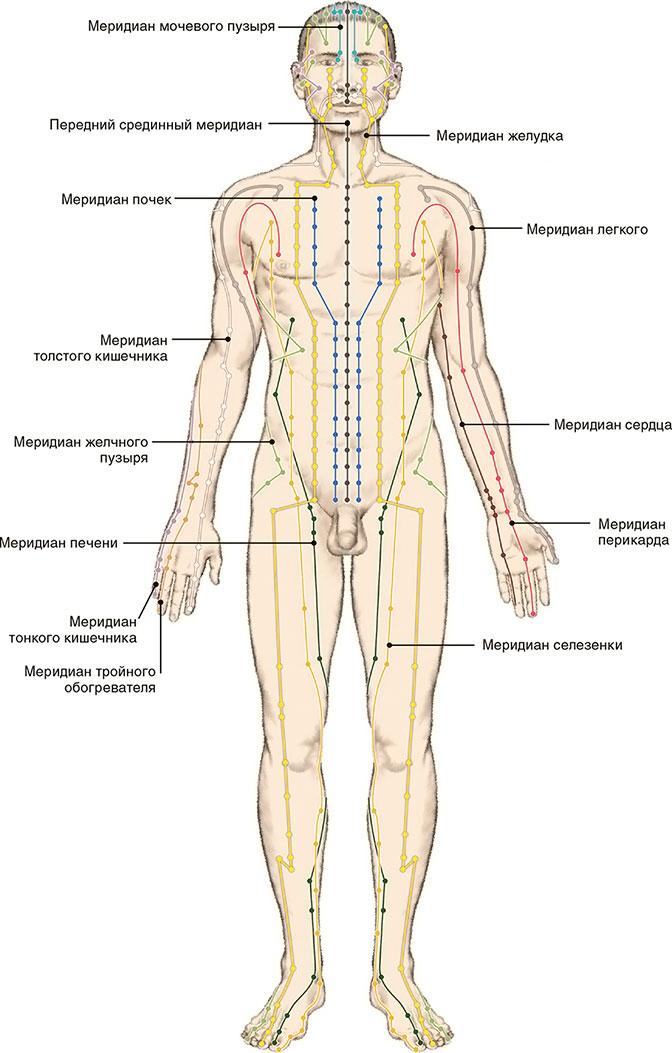 Меридианы на ногах человека схема