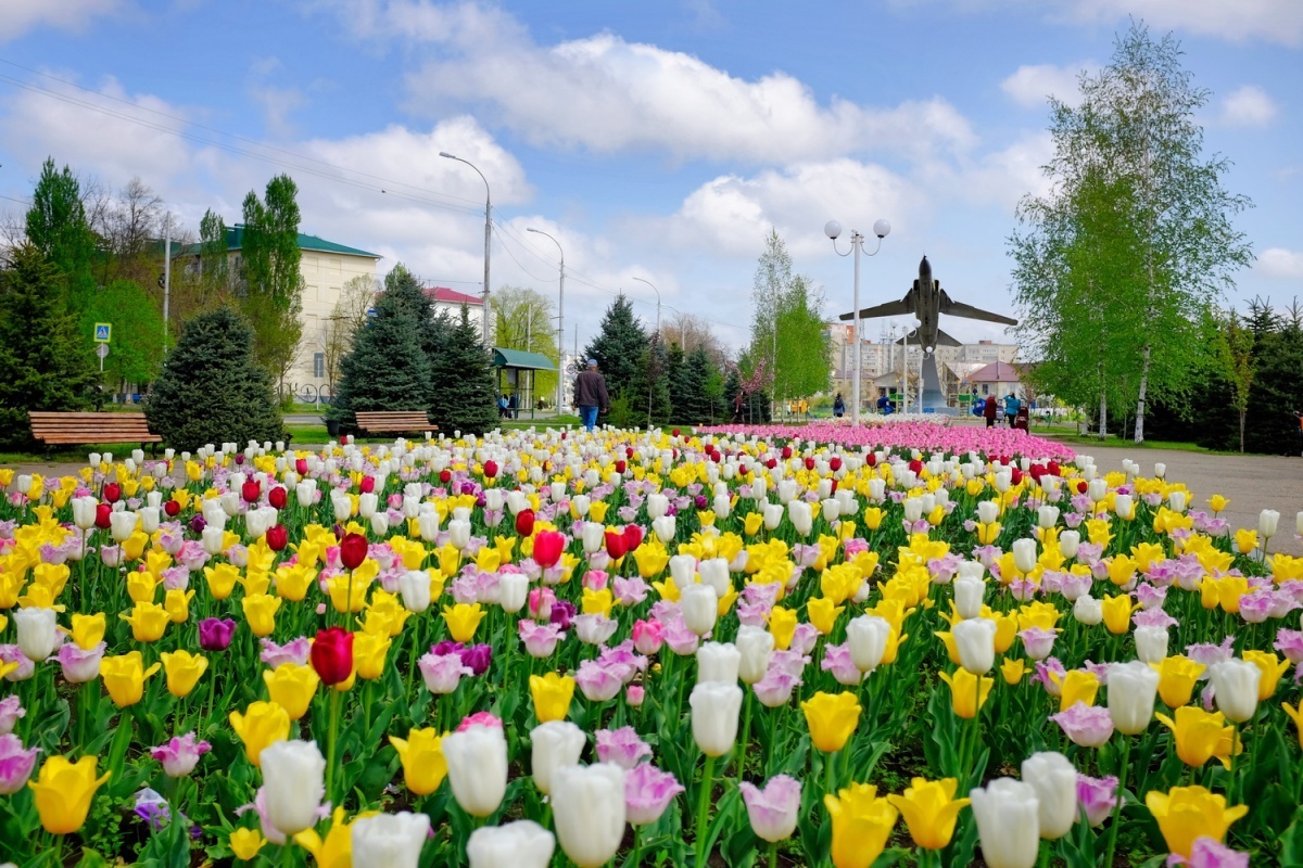 Прокат квадроциклов и Джиппинг в горах Адыгеи и Майкопа