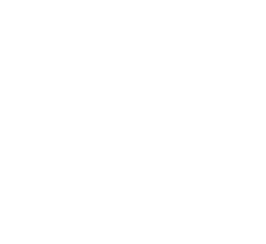 Налоговая экспертиза