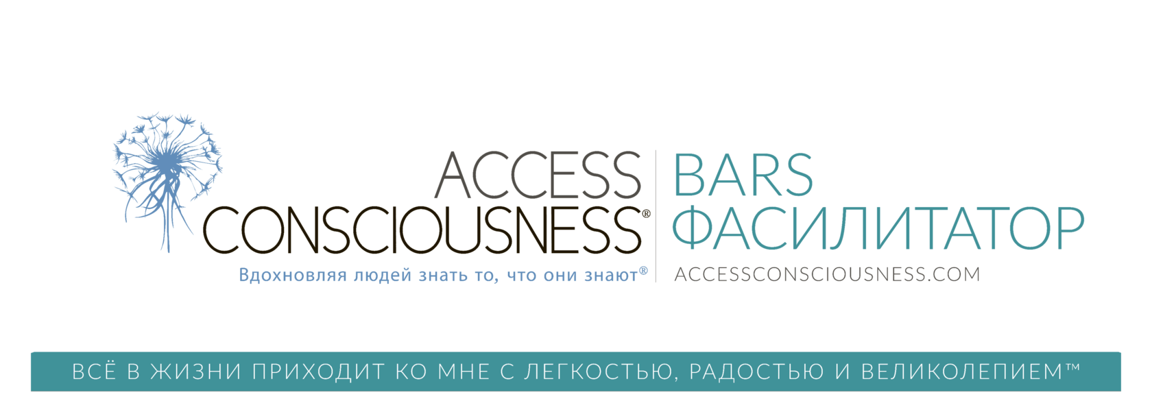 Сайт аксесс барс. Access Bars логотип. Access Consciousness логотип. Фасилитатор аксесс. Access Consciousness визитка.