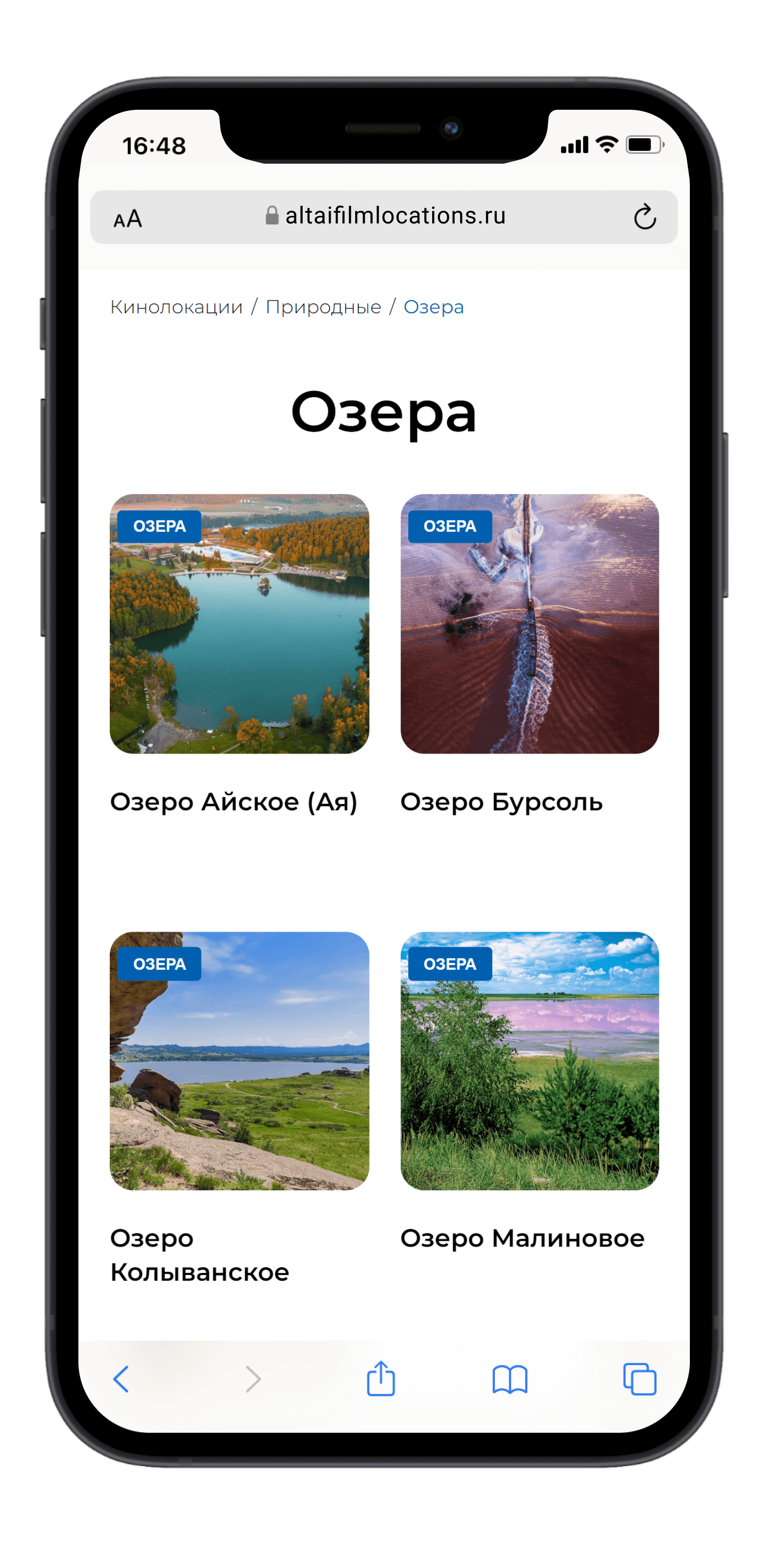 Студия веб-дизайна Шеиной Александры. Разработка сайта на тильде. Сделать сайт на тильде. Заказать сайт на тильде.