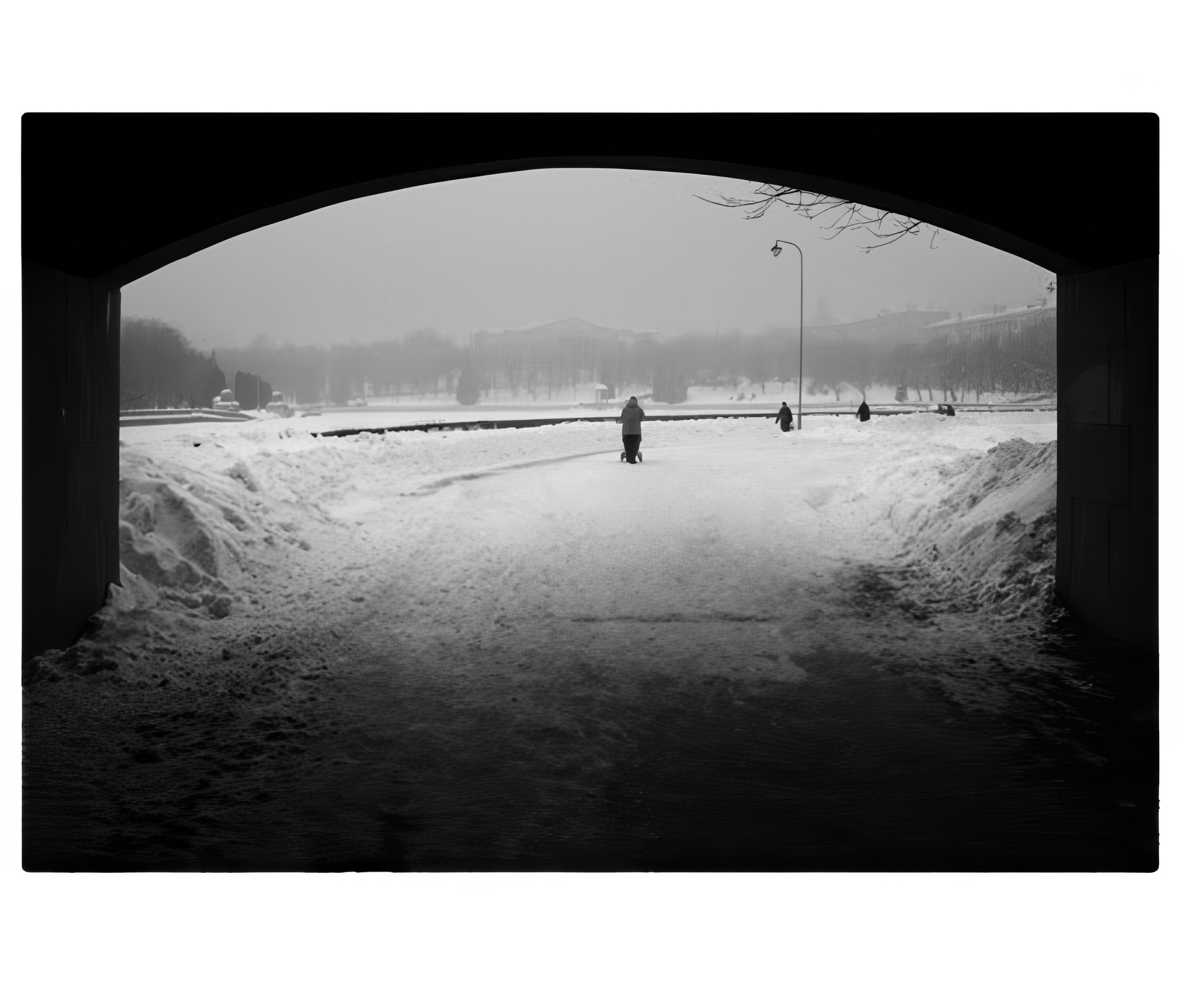 Сергей Жданович, проект «Страницы из дневника».