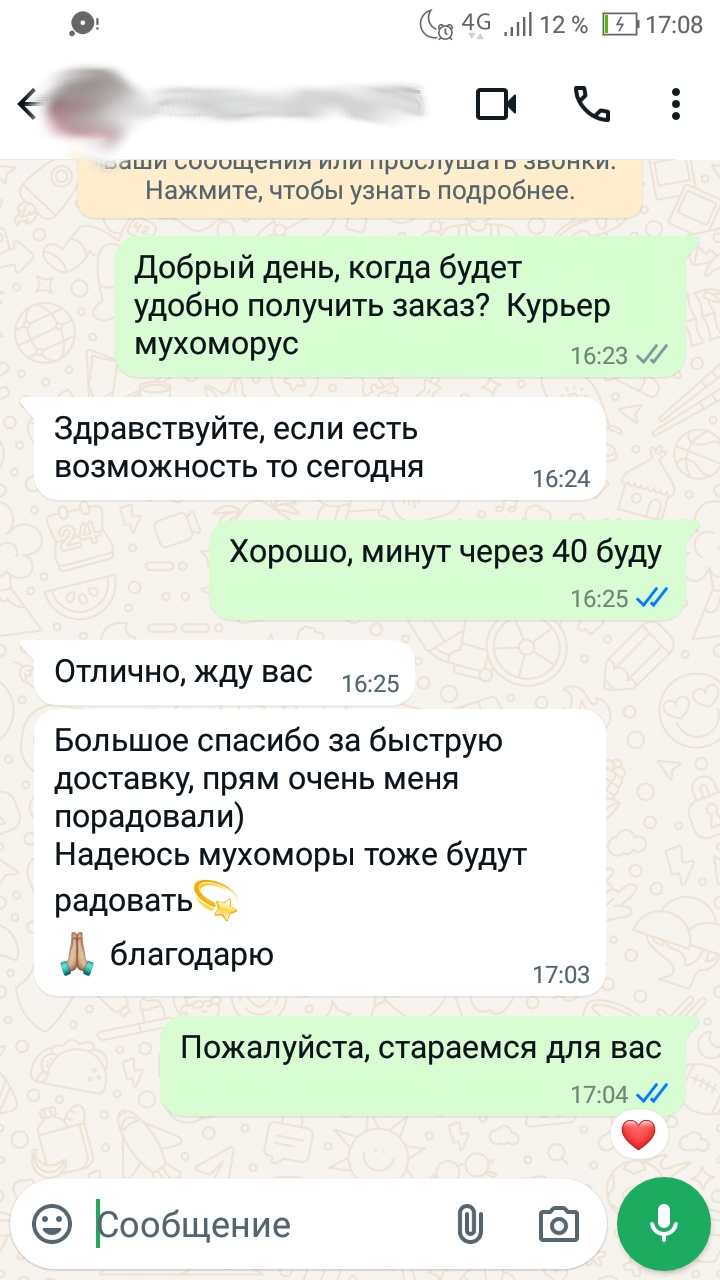 Настойка мухомора при артрите - Мухоморус