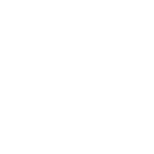 ПРОМСЕРВИС+