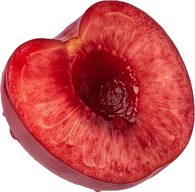 Слива