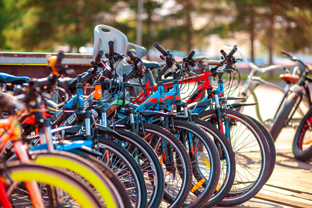Велосипеды напрокат вызвать коммерческую скорую помощь