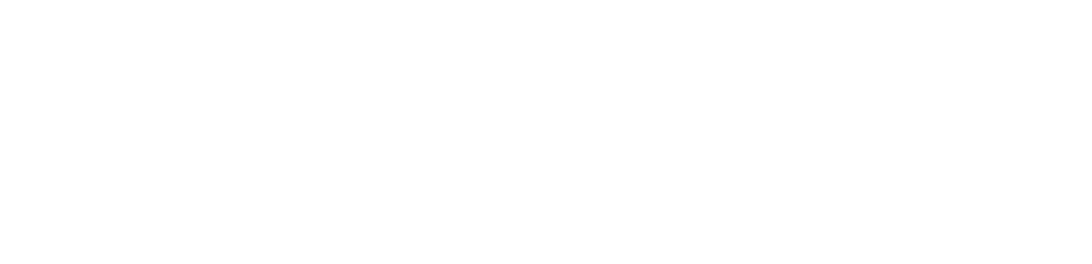  Стимул 