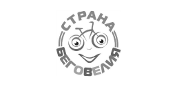 Логотип клиента