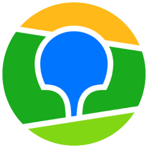 website icon