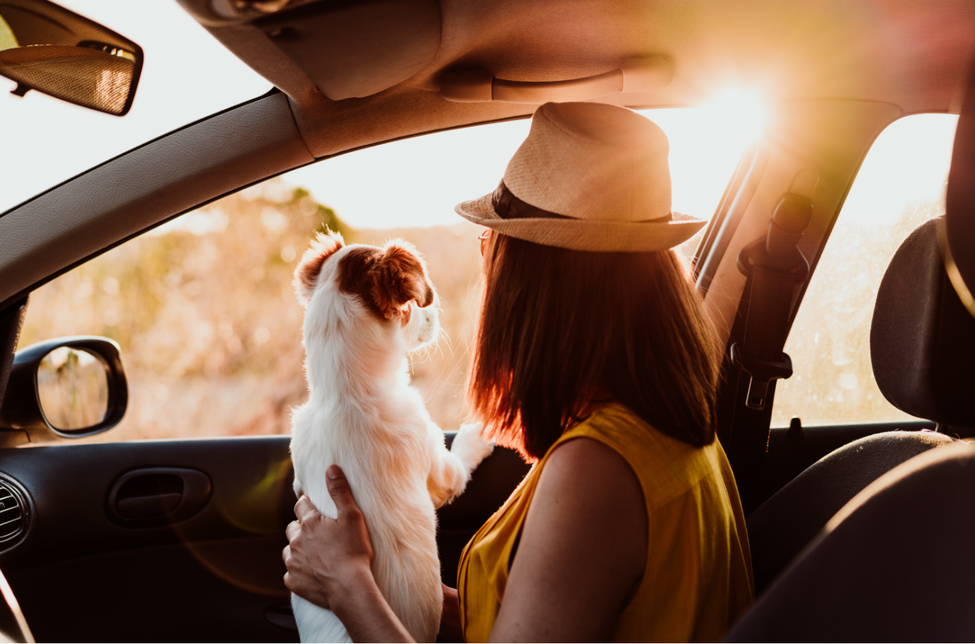 Расположение коттеджного посёлка