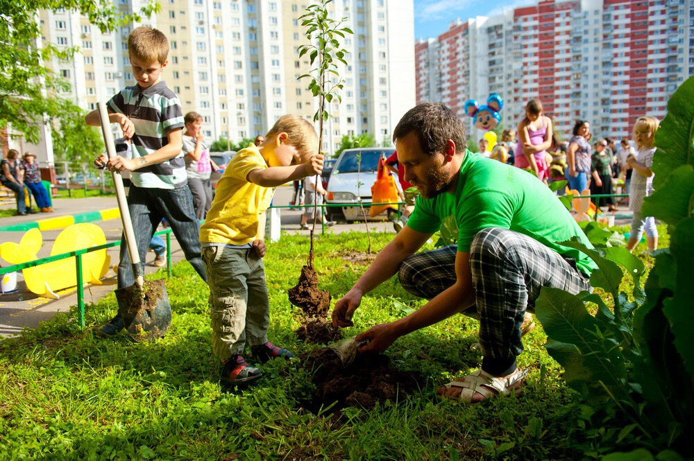 Участвует в жизни города. Озеленение детского сада. Озеленение территории города. Детям об экологии. Высадка деревьев в городе.