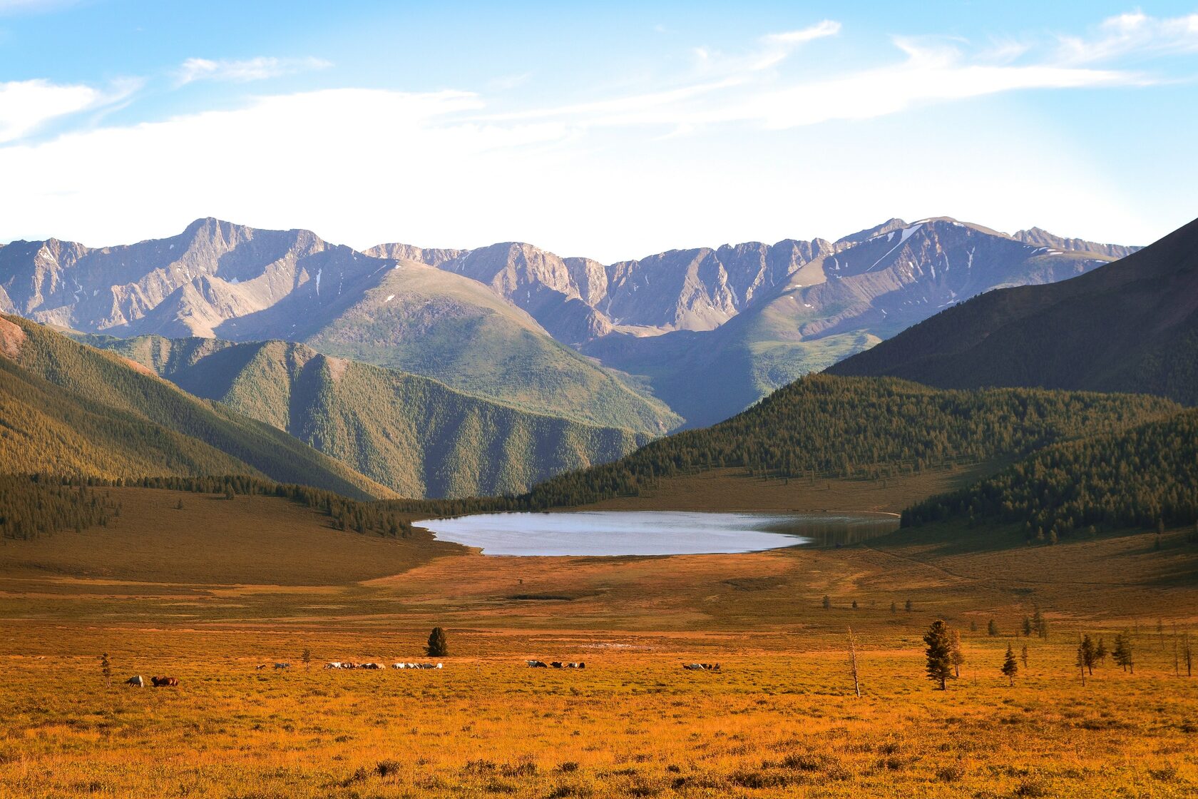 Плато Ештыколь. Золотые горы Алтая. Плато Шаджатмаз. Плато в горах.