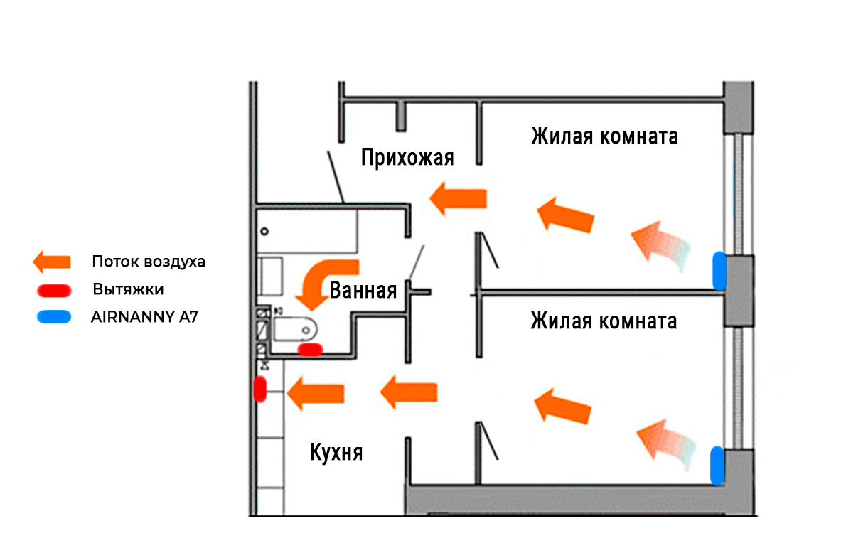 Как избавиться от плесени на стенах в квартире