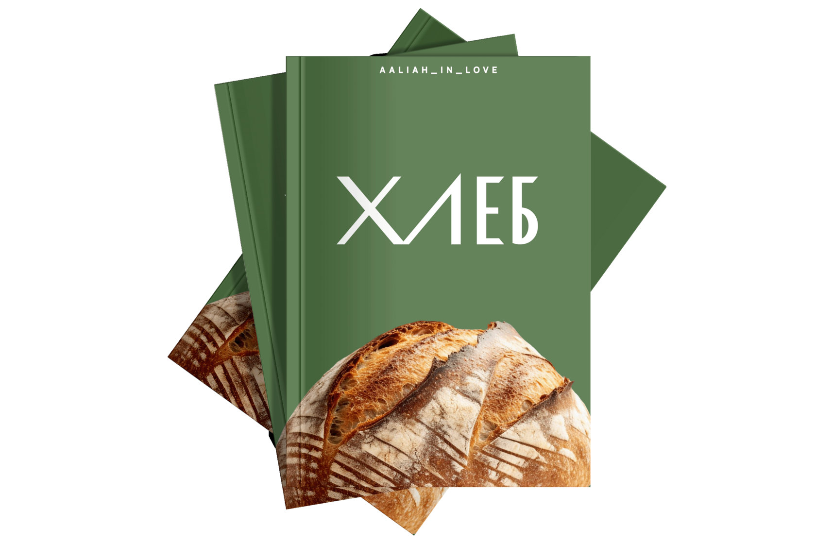 aaliyahfood.ru