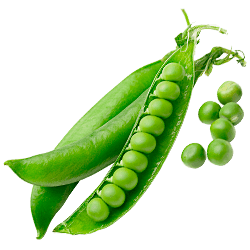 Нормы внесения Гумифулин и Органол для зернобобовых культур