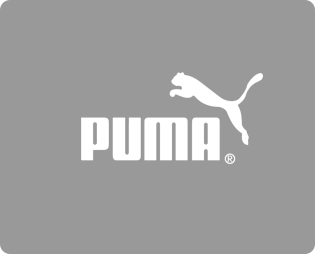 Текст Puma