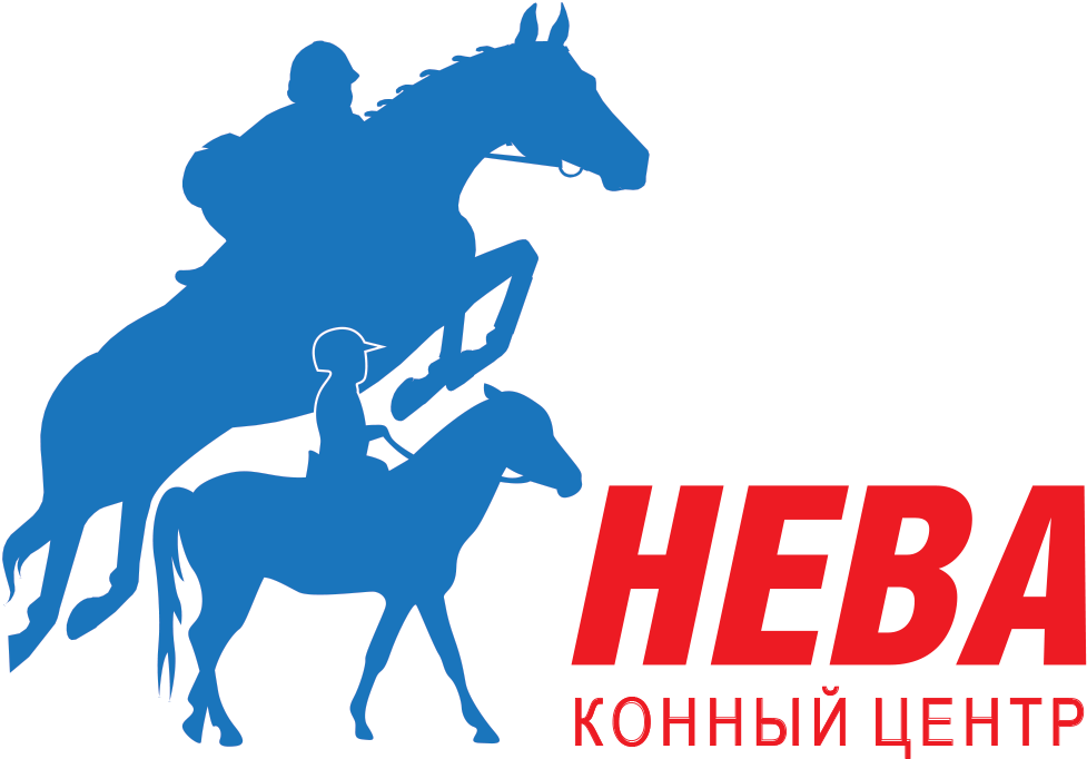 Семинары по работе лошади на вожжах и чистке и массажу лошади с ...