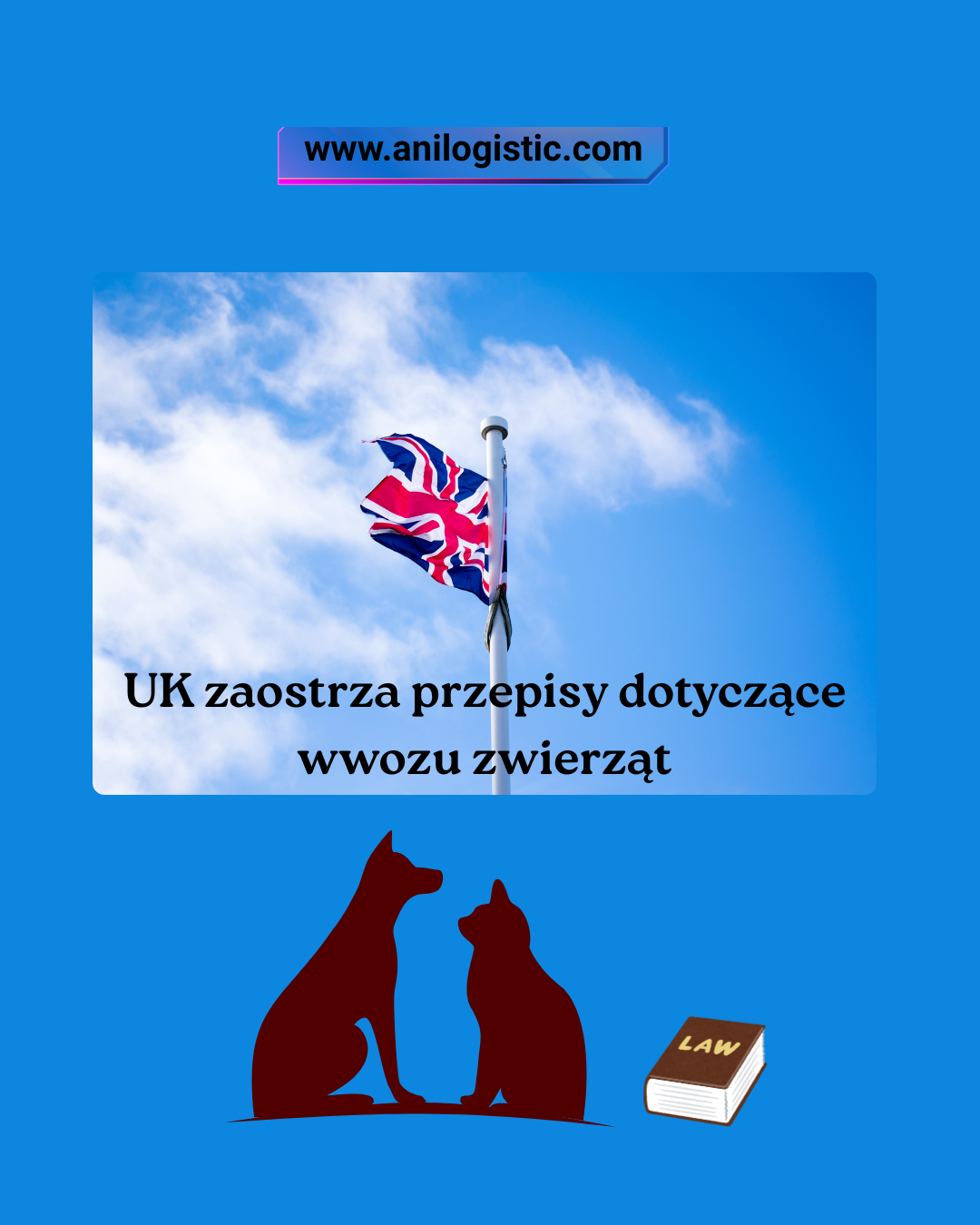 UK – nowe prawo ogranicza import zwierząt domowych