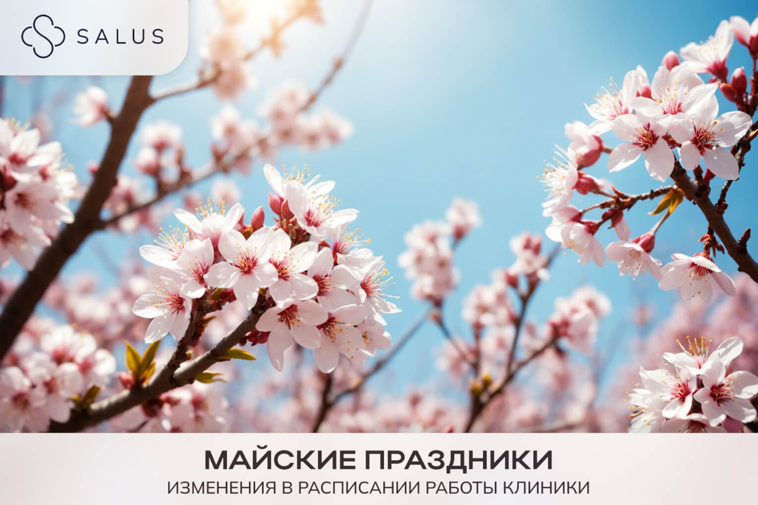Salus Салюс клиника в тюмени тюмень индивидуальная медицина гинеколог терапевт семейная медицина медцентр майские праздники первомай день труда день победы