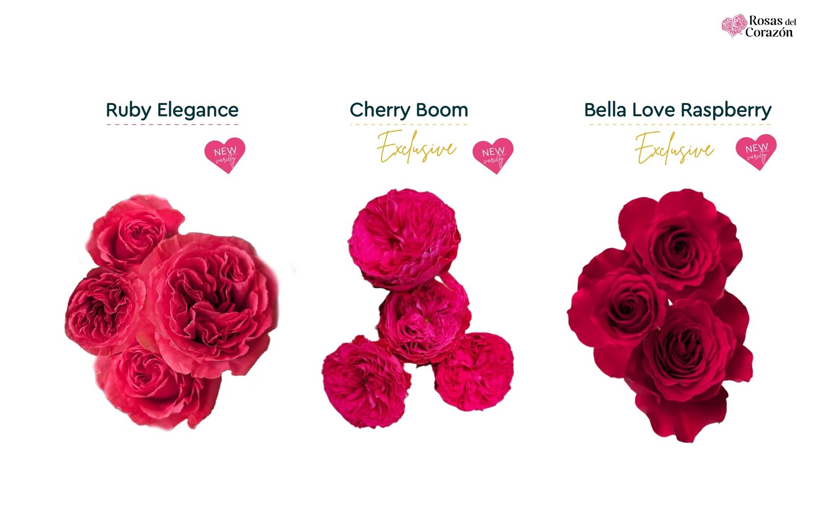 Ruby Elegance, Cherry Boom, Bella Love Raspberry