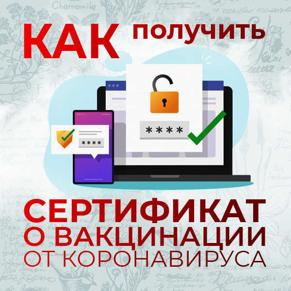 Как загрузить сертификат о вакцинации с госуслуг на телефон