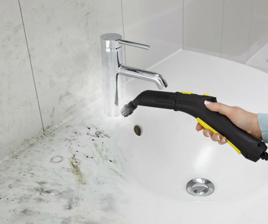 Пароочиститель в аренду