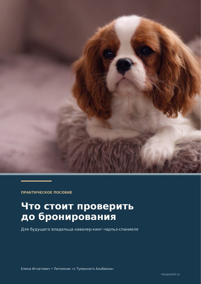 Бесплатный гайд «Что стоит проверить до бронирования» — Елена Игнатович