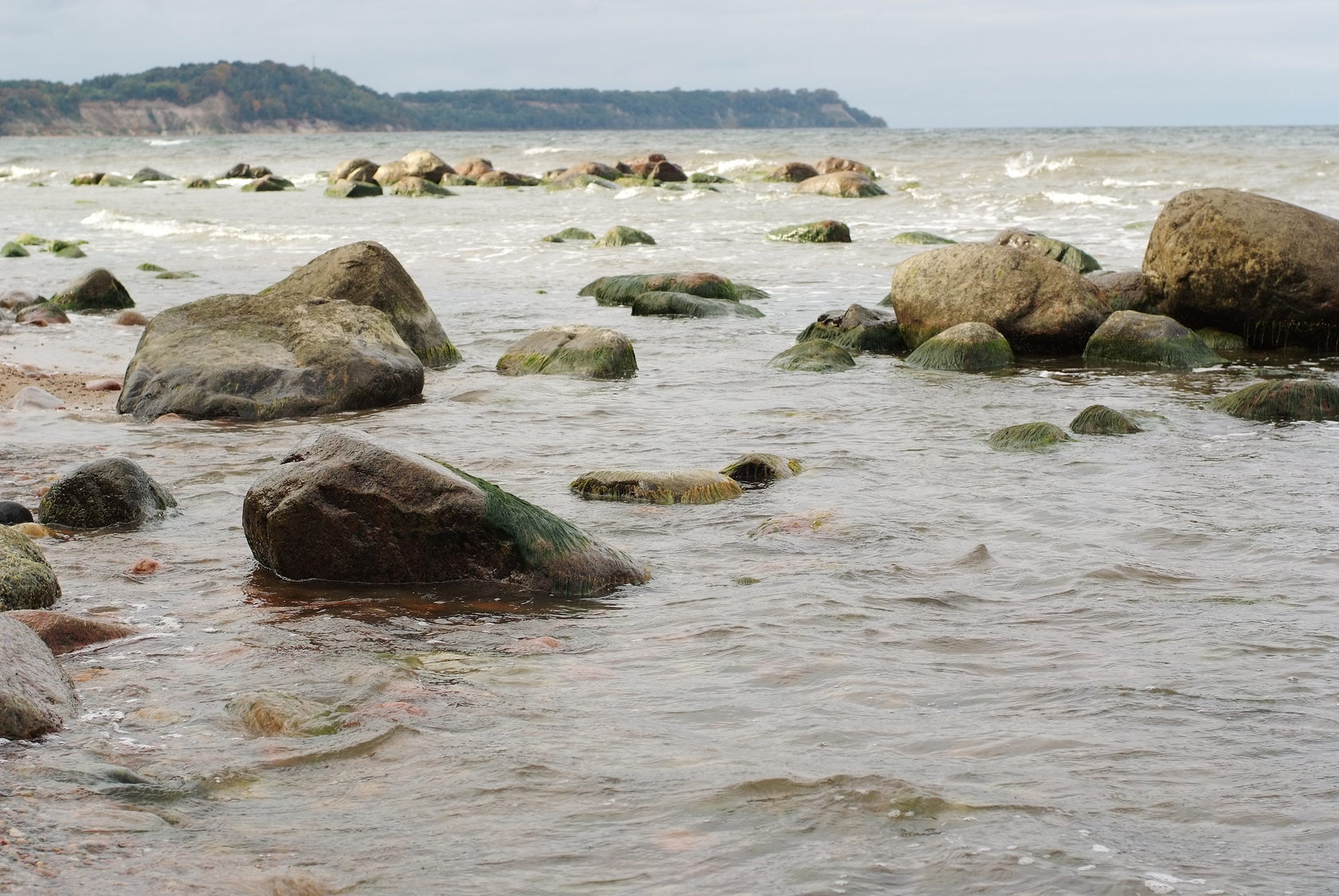 Купить дом на берегу Балтийского моря