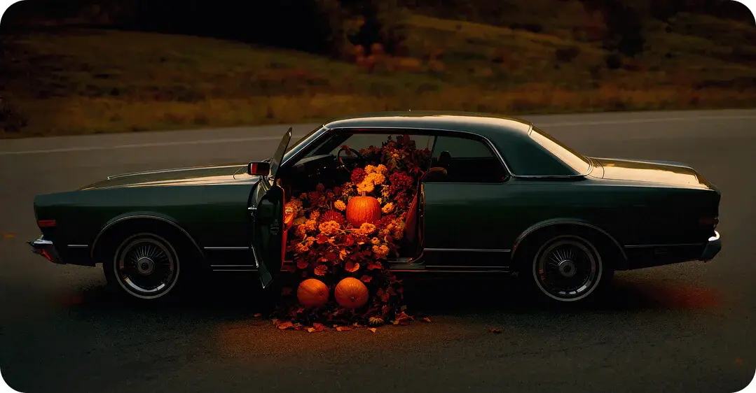 Autumn aesthetics