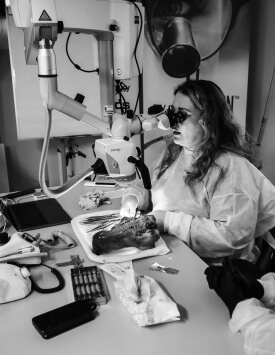 Фото с конференции 