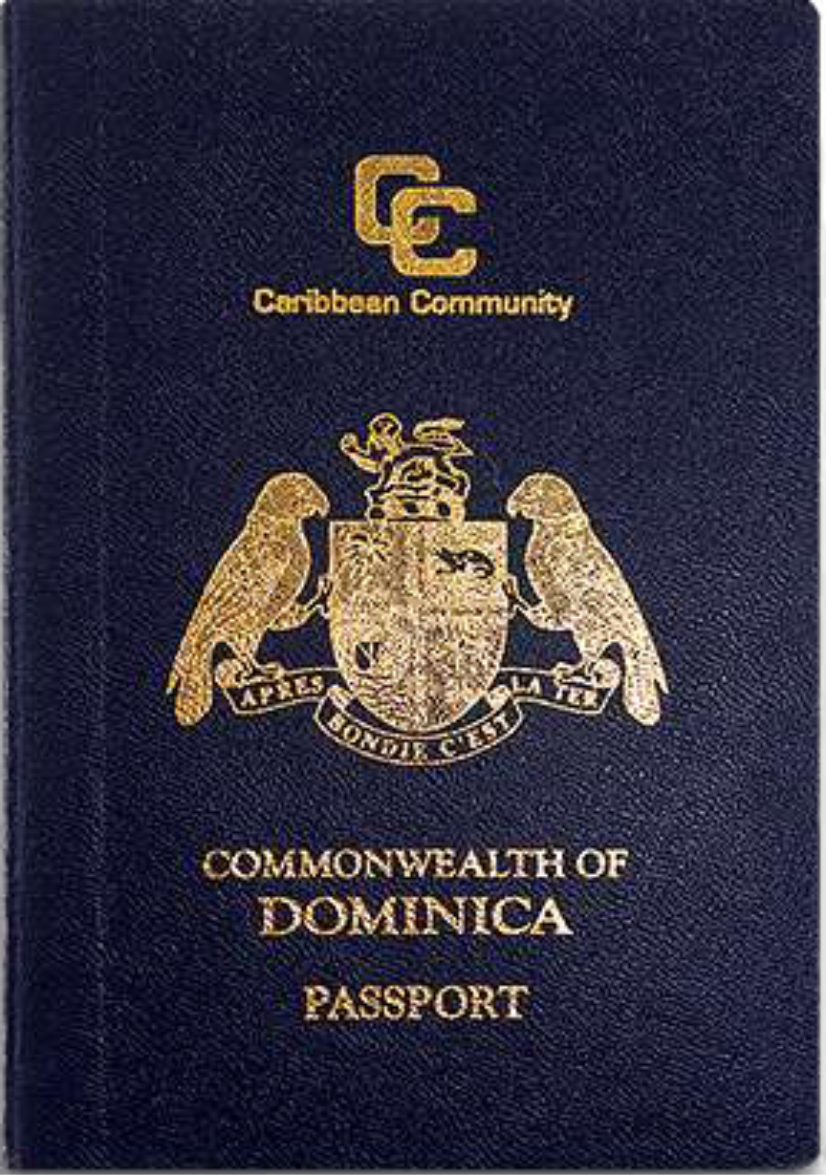 List passport. Паспорт Доминики. Паспорт панамы. Доминикана гражданство за инвестиции. Паспорт Доминиканской Республики.