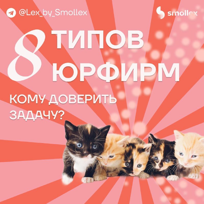 Какую юридическую фирму выбрать бизнесу