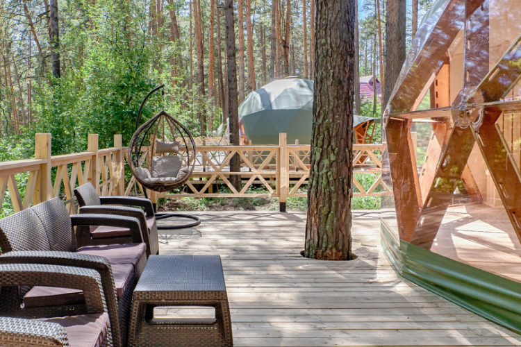 Медицинский центр "Хвоя" в Новосибирске. Бесплатная диагностика организма