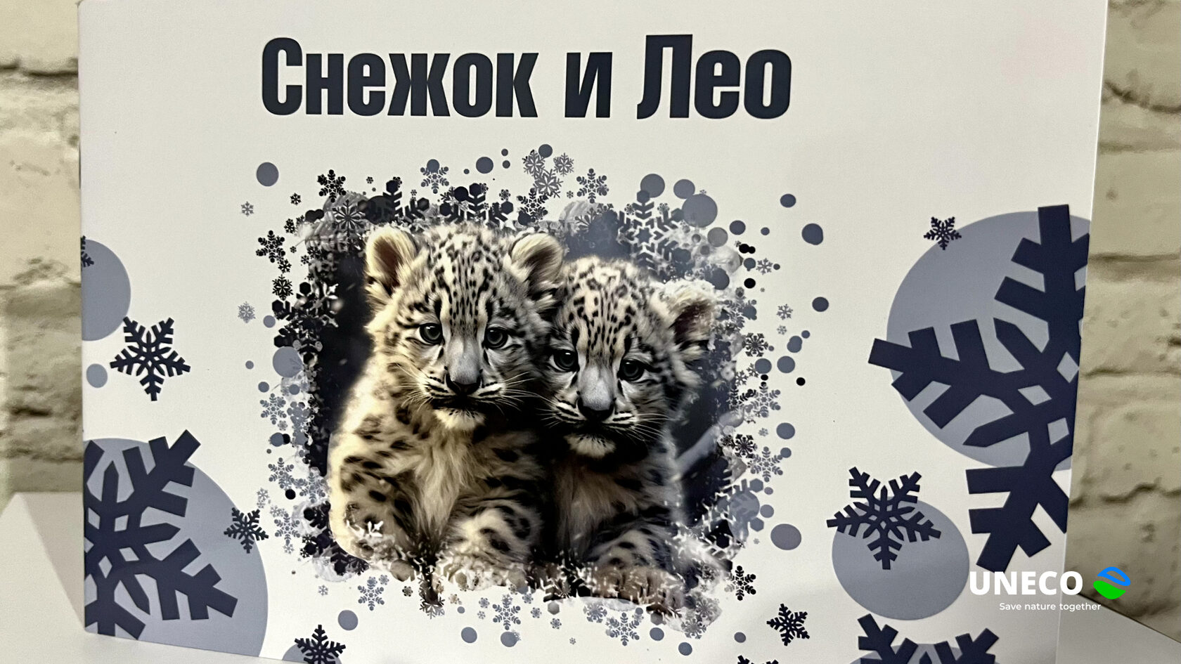 Сайт книжного барса
