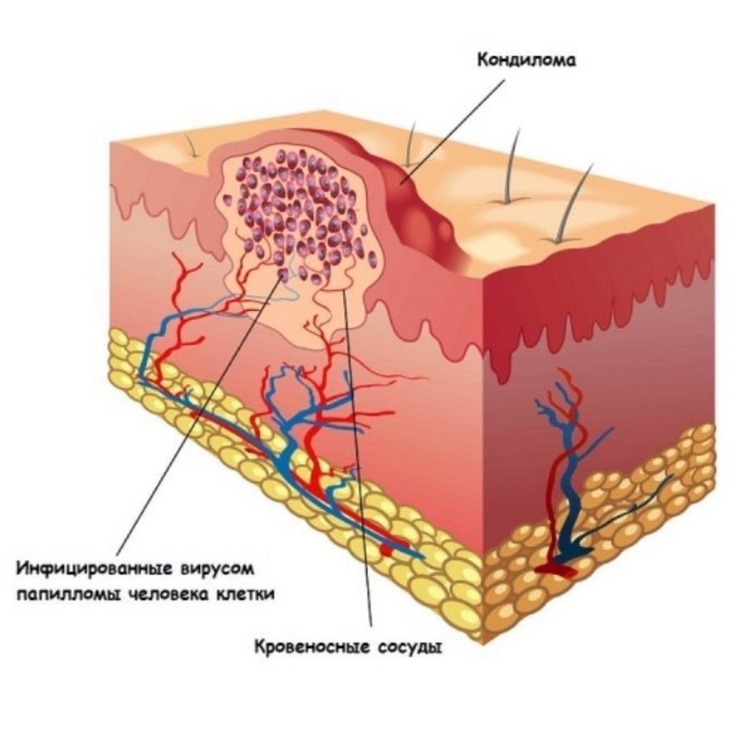 Рисунки на коже человека