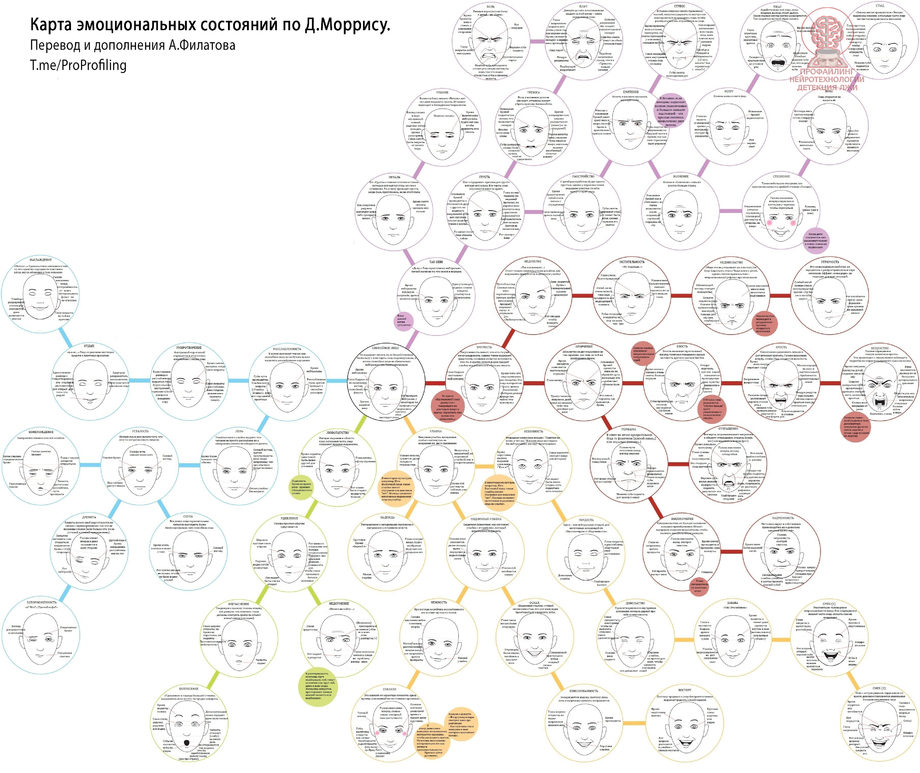 Карта эмоциональных состояний методика
