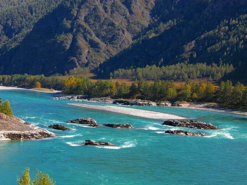 Большая катунь. Чемал горный Алтай. Катунь Алтайский край. Горный Алтай Катунь. Река Катунь горный Алтай.