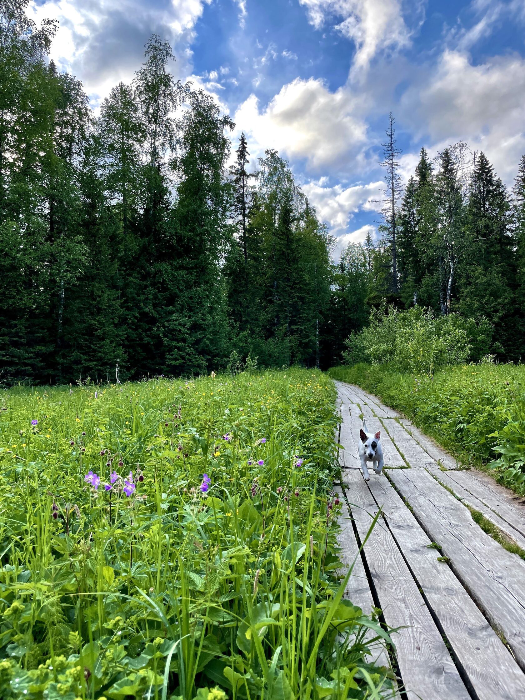 Зюраткуль