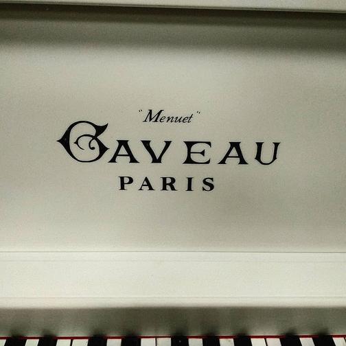 Ремонт музыкальных инструментов Новосибирск