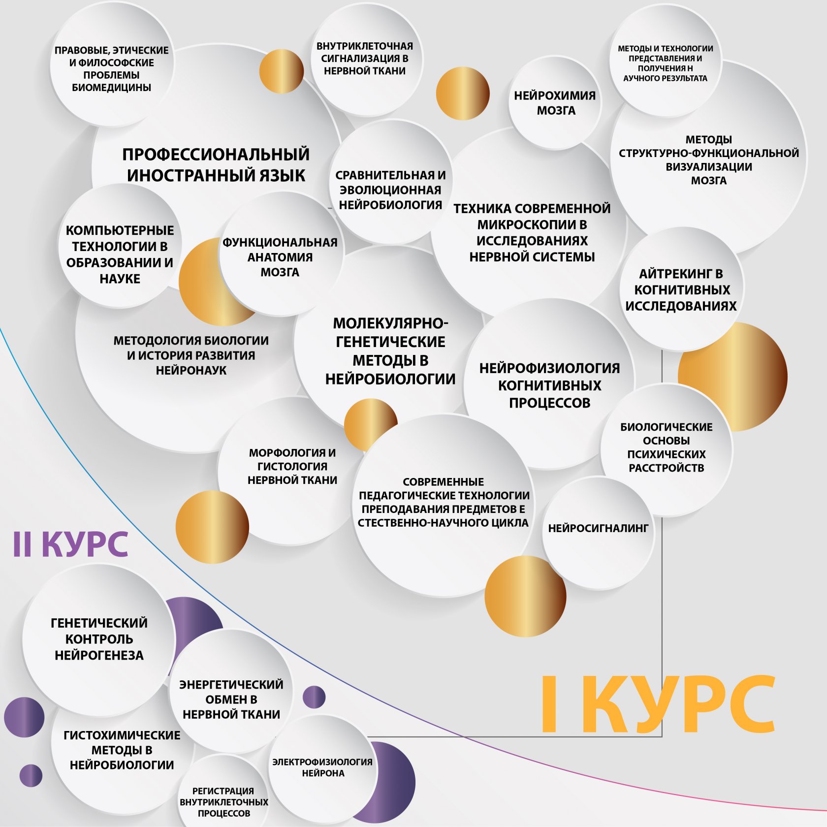 Когнитивная нейробиология вшэ учебный план