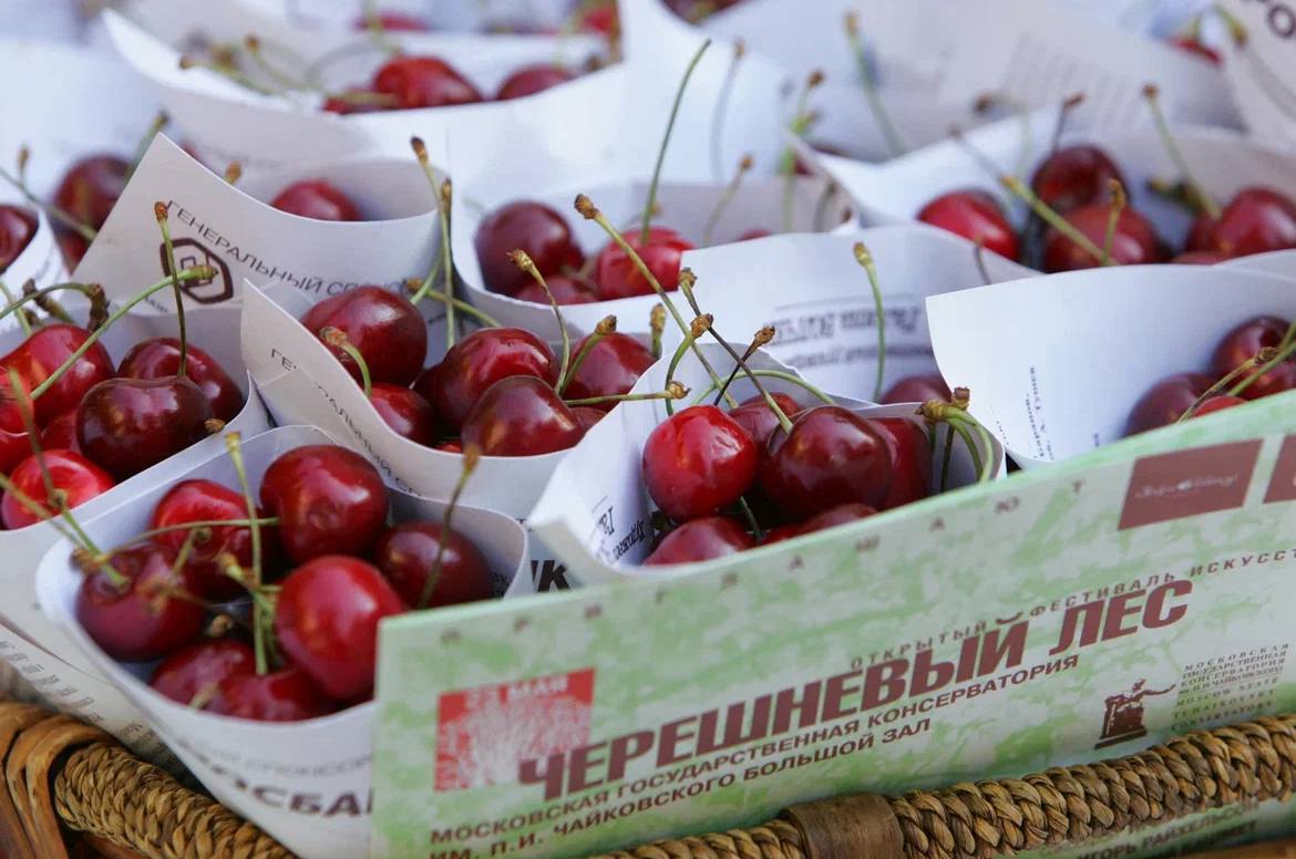 Фестиваль искусств «Черешневый лес», Bosco di Ciliegi, театры Москвы, куда сходить на выходные, выходные в Москве